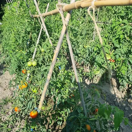 Dom wakacyjny La Maison De Maitre Potager