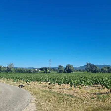 Dom wakacyjny La Maison De Maitre Potager Valréas