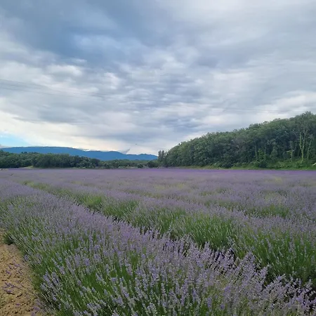La Maison De Maitre Potager Dom wakacyjny *